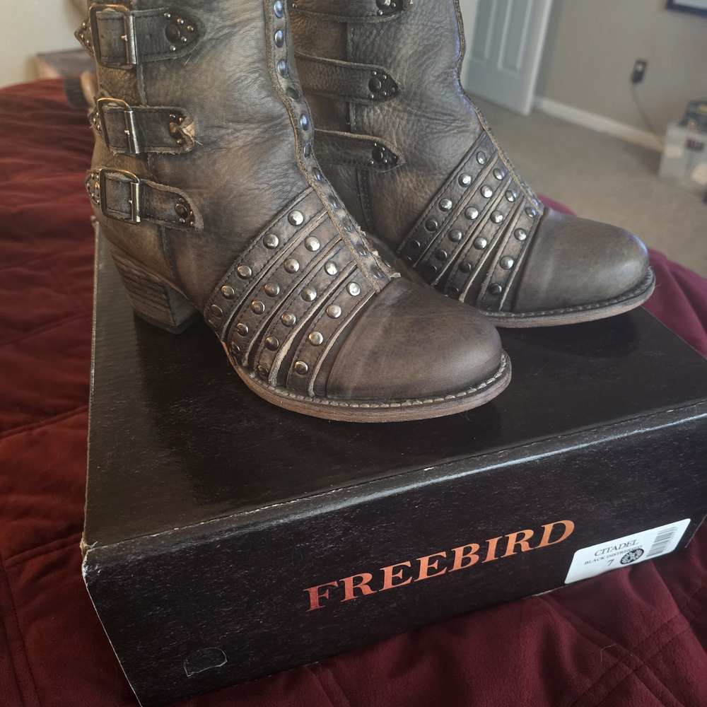 Freebird by Steven Brown Combat Moto Boots